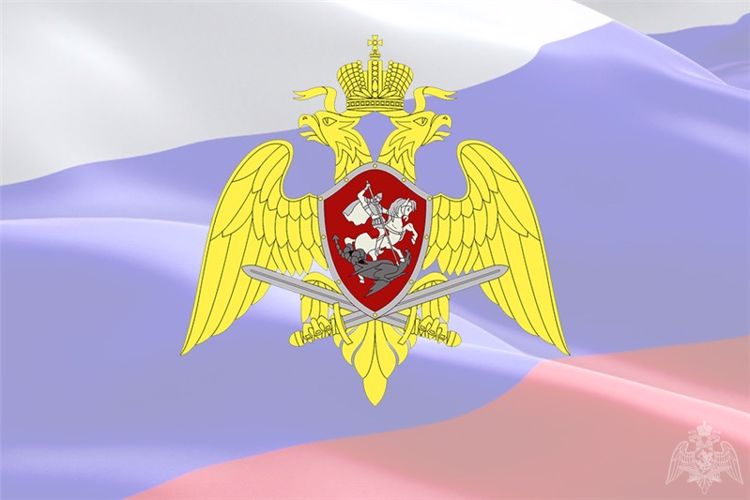 Особенности осуществления в 2020 году разрешительной деятельности 