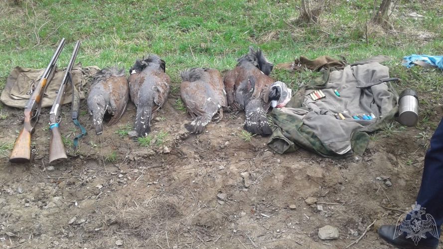 В Башкортостане росгвардейцы задержали браконьеров на особо охраняемой природной территории 
