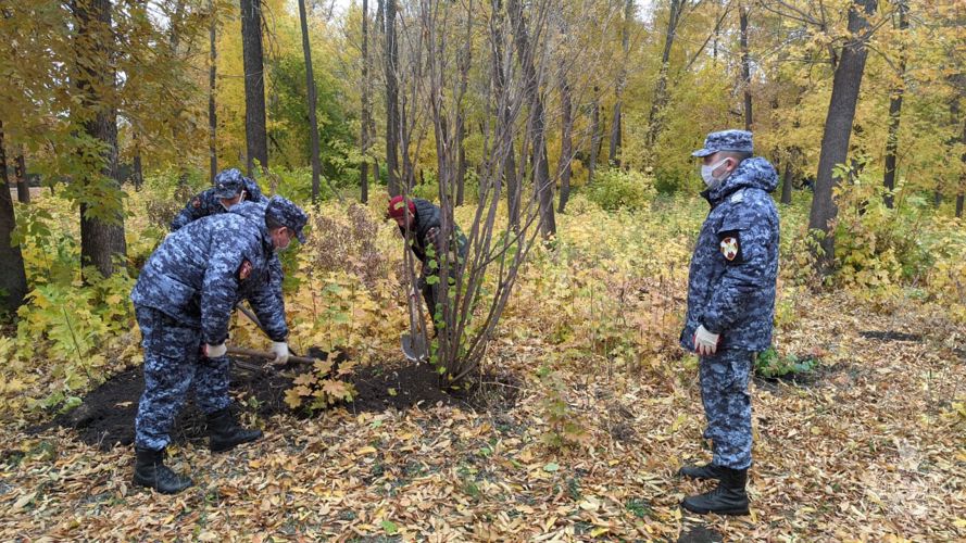 В Башкирии росгвардейцы в рамках акции «Зеленая Башкирия» высадили саженцы деревьев