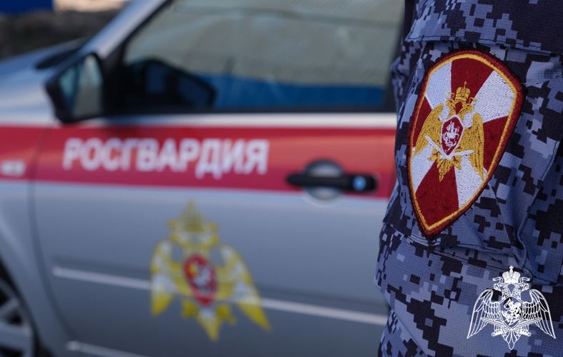 Профилактика имущественных преступлений в период новогодних праздников