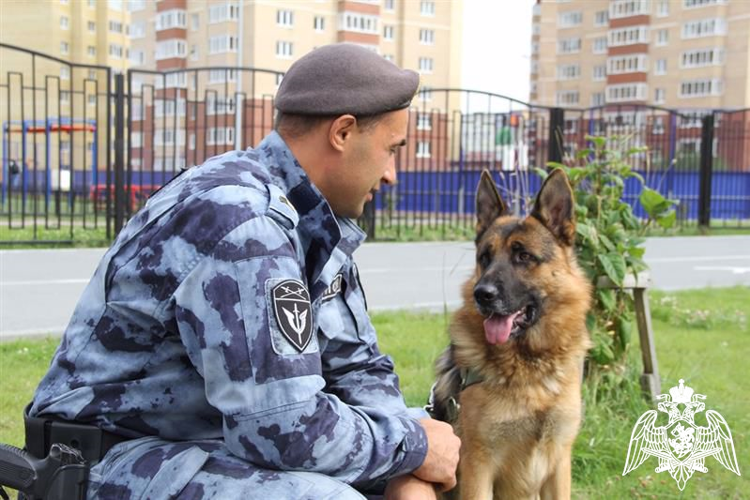 21 ИЮНЯ – ДЕНЬ КИНОЛОГИЧЕСКИХ ПОДРАЗДЕЛЕНИЙ РОСГВАРДИИ