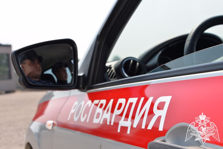 В Башкирии росгвардейцы задержали подозреваемого в краже