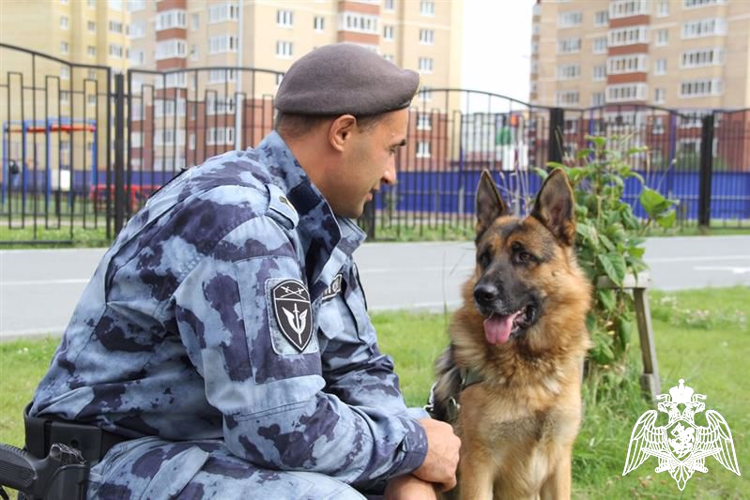 21 июня – день кинологических подразделений Росгвардии