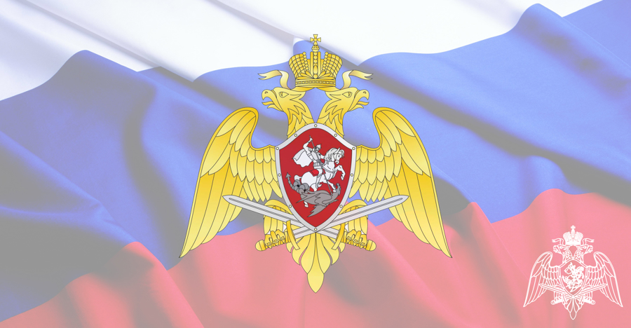 Специалисты подразделений финансового контроля и аудита Росгвардии отмечают профессиональный праздник