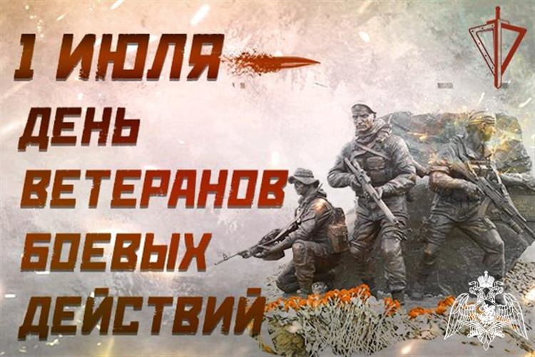 ДЕНЬ ВЕТЕРАНОВ БОЕВЫХ ДЕЙСТВИЙ