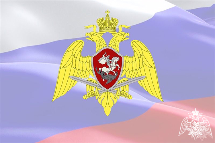 Предоставление государственных услуг в сфере оборота оружия и частной охранной деятельности в электронном виде
