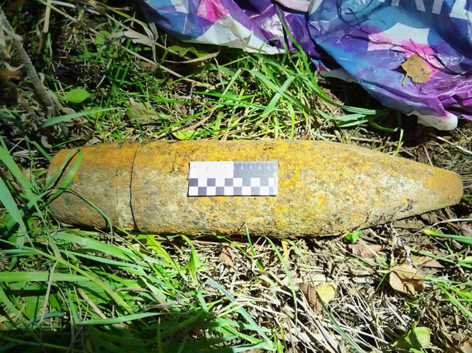  В ИГЛИНСКОМ РАЙОНЕ БАШКОРТОСТАНА СОТРУДНИКИ РОСГВАРДИИ ОБСЛЕДОВАЛИ СНАРЯД 