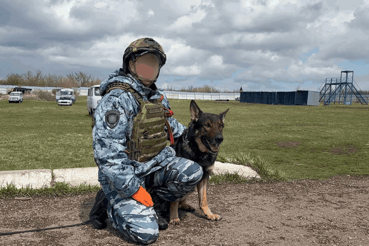 Золото и серебро турнира специалистов-кинологов завоевали росгвардейцы в Республике Башкортостан (видео)