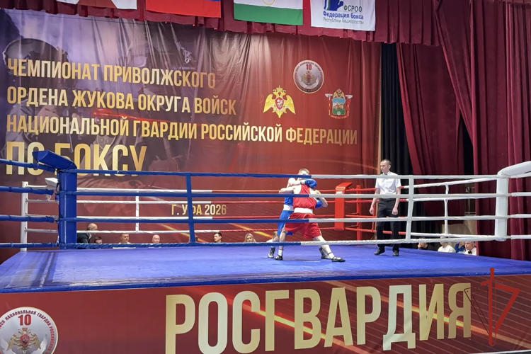 Чемпионат Приволжского округа Росгвардии по боксу прошел в Республике Башкортостан