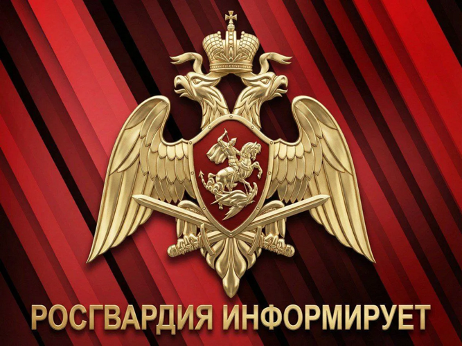 Cправку о наличии оружия можно получить дистанционно через электронный сервис Росгвардии 